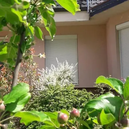 Jasmina Villa Bihać