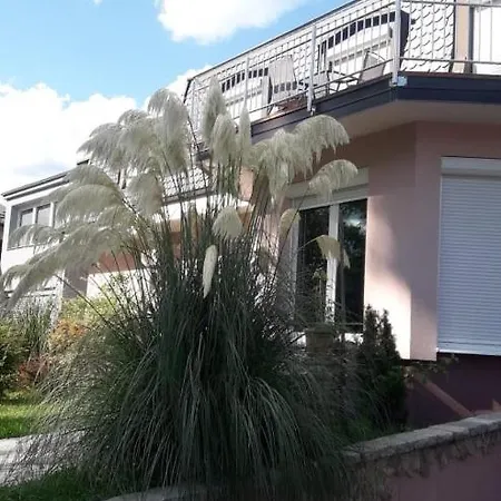 Vila Jasmina