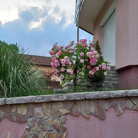 Jasmina Bihać