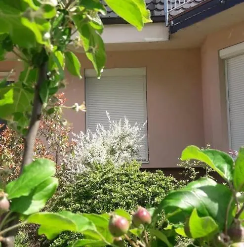 Jasmina Willa Bihać